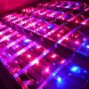 Plant Grow Lights