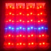 Plant Grow Lights