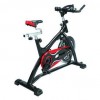 3039 Indoor Cycling Bike