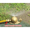 Brass snail sprinkler