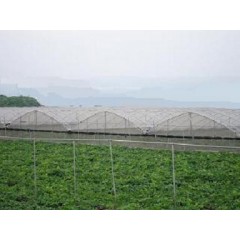 Mesh 50x25, mesh 40x25 / 2