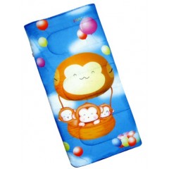 Sleeping Bag