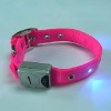 LED DOG COLLARS