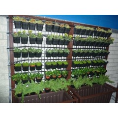 Hanging flower wall pot / 3