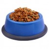 Pet Food Bowl