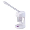 Mini Facial Steamer