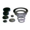 OIL SEALS