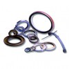 OIL SEALS