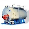 Steam Boiler