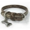 Dog Collar