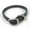 Dog Collar