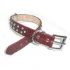 Dog Collar