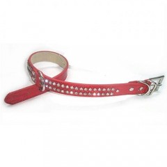 Dog Collar