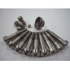 Titanium screw