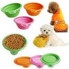 Foldable Dog Bowl