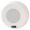 Ceiling or Wall mounted Speaker 3W