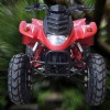 NF150 Sports Quad