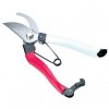 Pruning Shears