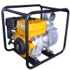 SUBURA-ROBIN POWERED WATER PUMP