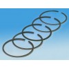 Piston Ring