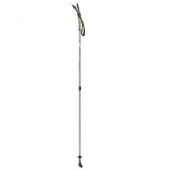 Carbon Hiking Cane