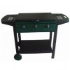 3 Burner Steel Gas Grill