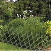 Green Trellis