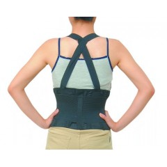 Back Support Belt
