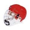 Hockey Helmet