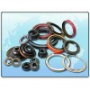 Oil seals