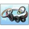 Oil seals