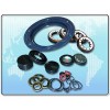 Oil seals