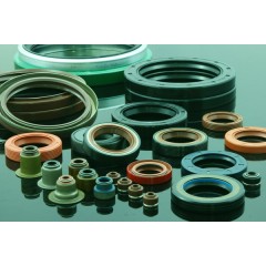 Oil Seal / 2