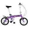 Folding Bicycle