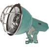 Flood Light Fixture