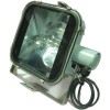 Flood Light Fixture