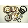 Oil Seal