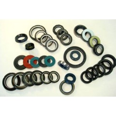 Oil Seal / 2