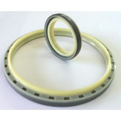 Hydraulic Seal / 2