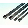 Stainless Steel Ladder Cable Tie