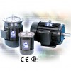 Spindle Motors