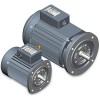 IE2 Spindle Motors