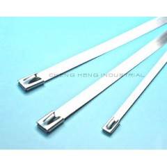 SS Cable Ties / 3