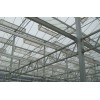 Glass Greenhouse