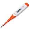 Digital Thermometer