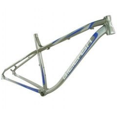 ALLOY FRAME