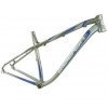 ALLOY FRAME