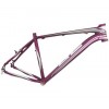 ALLOY FRAME