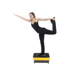 Mini Whole Body Vibration platform, semi commercial / 2