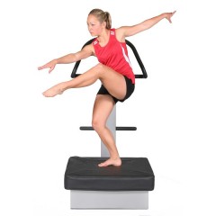 Professional Whole Body Vibration exercise / 2